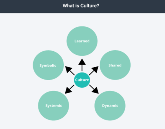 Culture is symbolic, learned, shared, dynamic and systemic